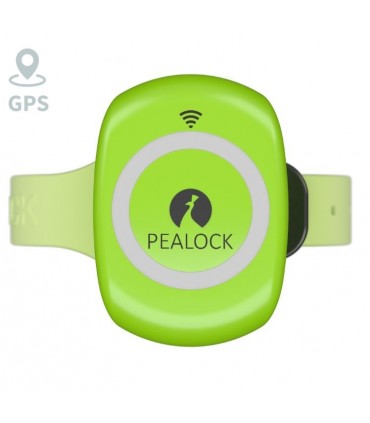 Rattalukk Pealock (gps)