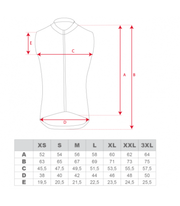 Vest FORCE WIND must