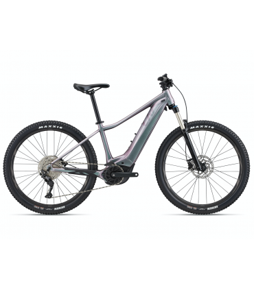 E-Bike Elektri maastikuratas Giant Vall E+ 2 - Echeveria