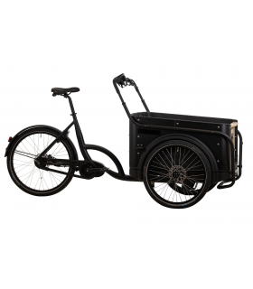 Elektriratas Kastiratas BBF E-Cargo eCargorider 3.2 Royal Special Bafang