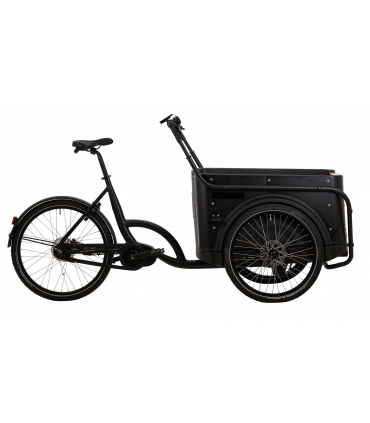 Elektriratas Kastiratas BBF E-Cargo eCargorider 3.2 Royal Special Bafang