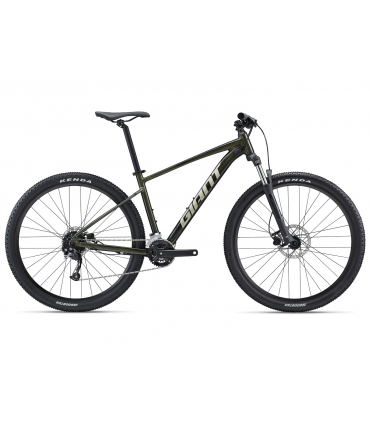 Maastikuratas Giant Hardtail Talon 2 -  Phantom Roheline