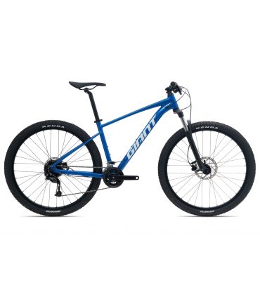 Maastikuratas Giant Hardtail Talon 3-GE-  Safiir