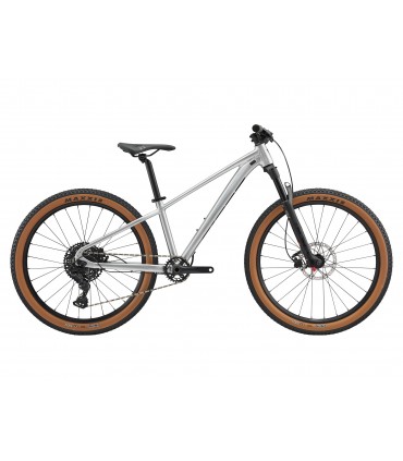 Lasteratas Giant STP 26 quicksilver