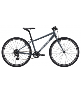 Kerge Lasteratas Giant ARX 26 hall