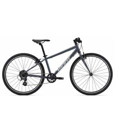 Kerge Lasteratas Giant ARX 26 hall