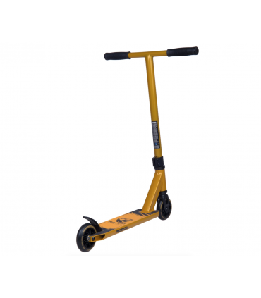 Laste Triki tõukeratas Panda Cub Pro kuldne