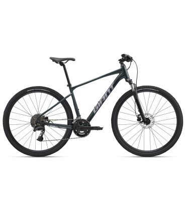Gravel ratas Giant Rome 2 Asphalt Green