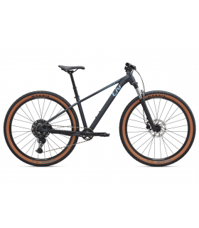 Naiste Maastikuratas Giant LIV Tempt 1 Black Diamond