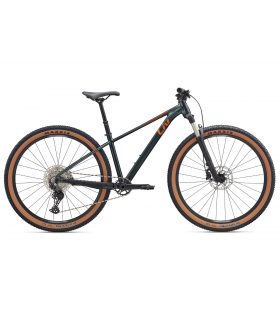 Naiste Maastikuratas Giant LIV Tempt 0 Asphalt Green