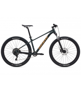 Maastikuratas Giant Talon 2 Asphalt Green