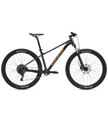 Maastikuratas Giant Talon 2 Asphalt Green