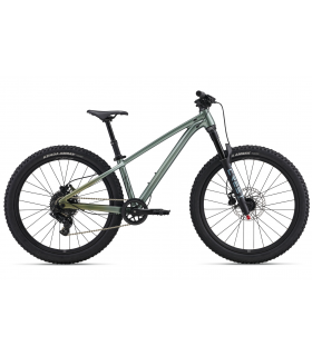Lasteratas Giant LIV STP 24" Alpine Green
