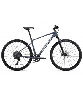 Jalgratas Giant Roam 1 Midnight Moon