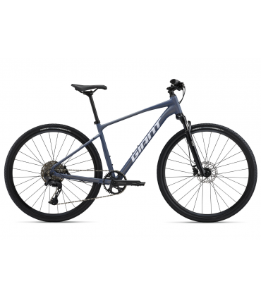 Jalgratas Giant Roam 1 Midnight Moon